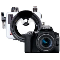 Canon EOS 250D & 18-55 STM & Ikelite Housing With Dome Port